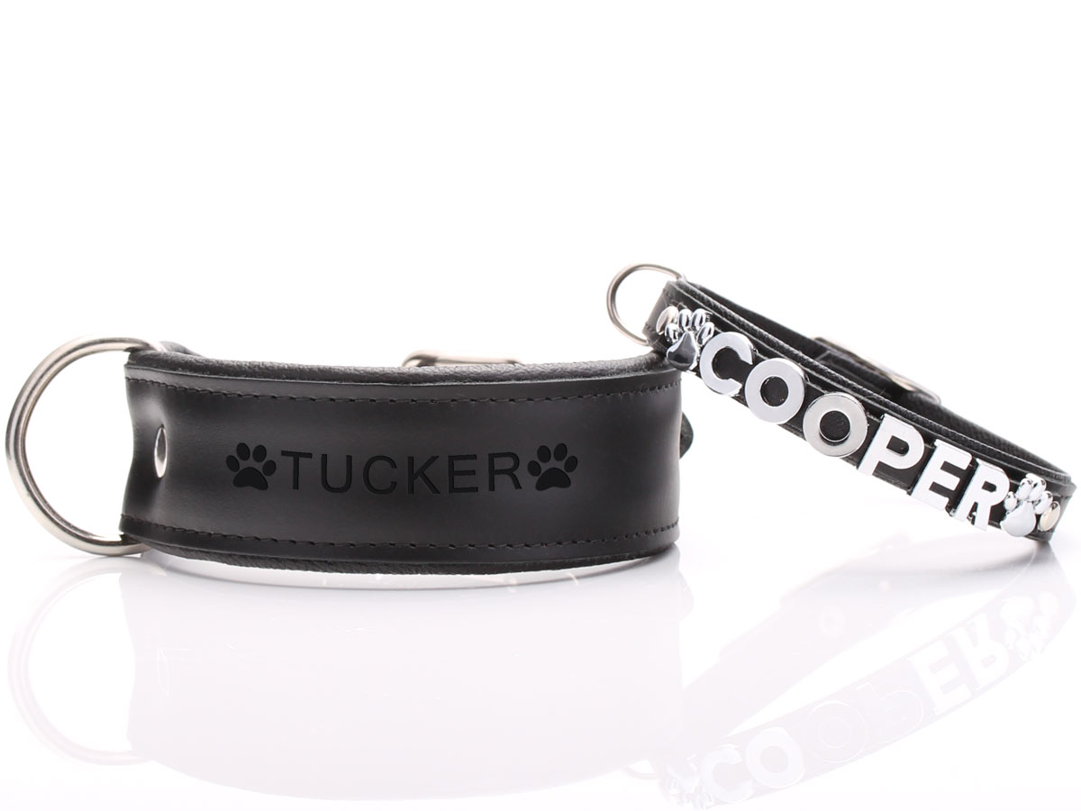 Personalised Black Leather Dog Collar with Soft Padding