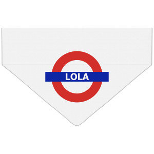 Personalizzato Bandana Cane...