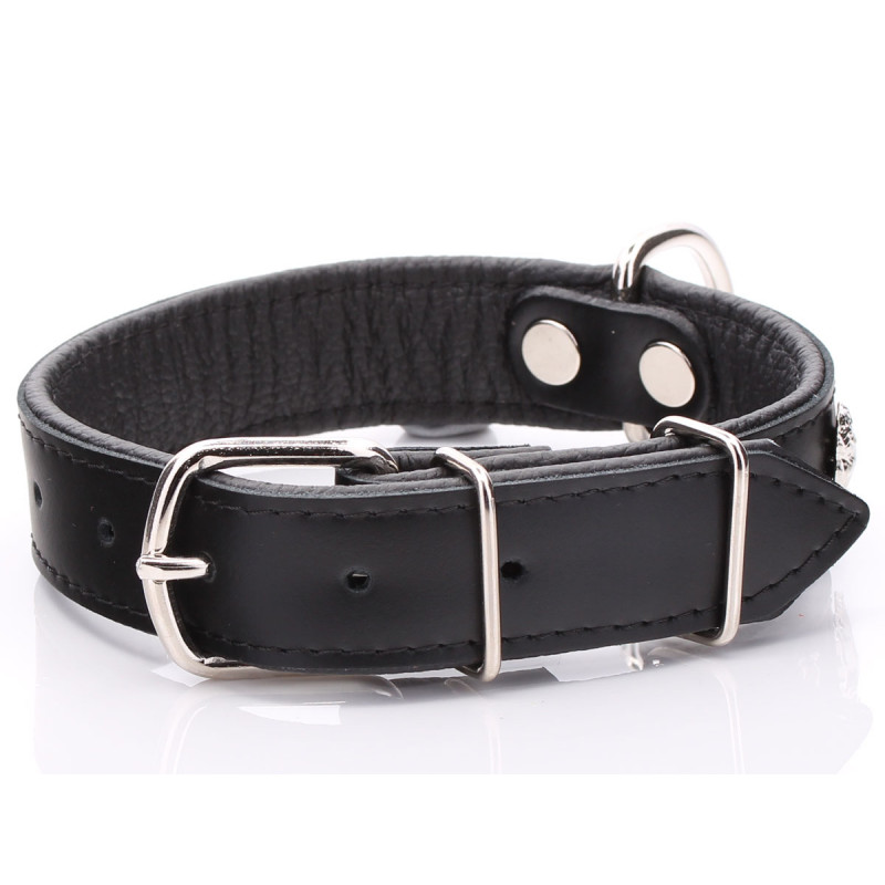 Fancy Black Leather Pug Collars