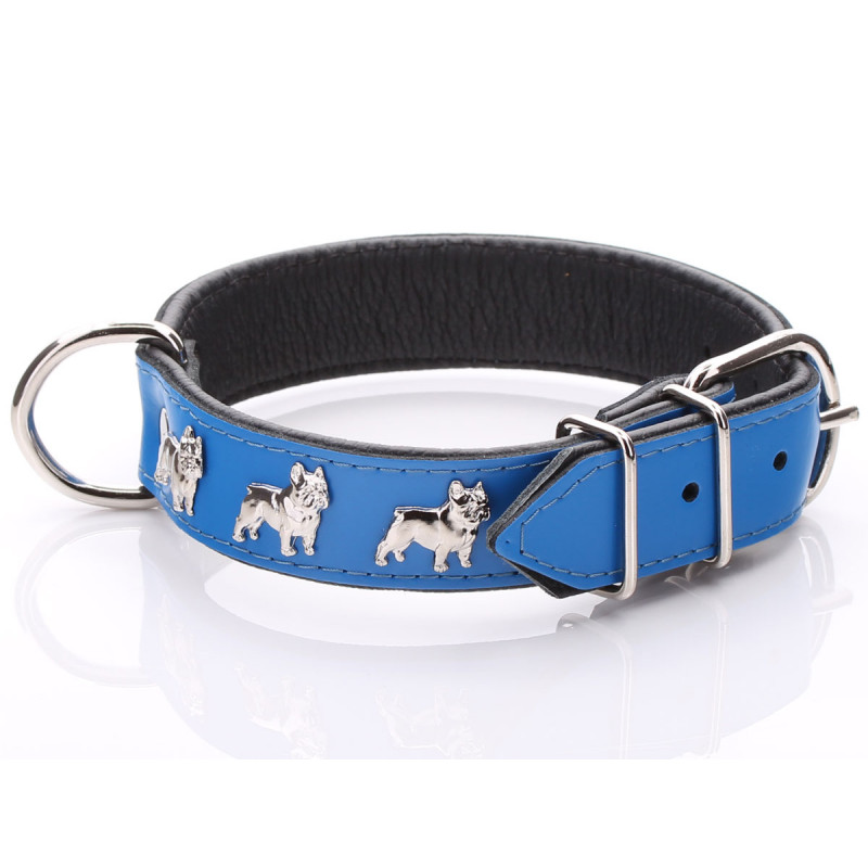 Blue French Bulldog Collar with soft padding