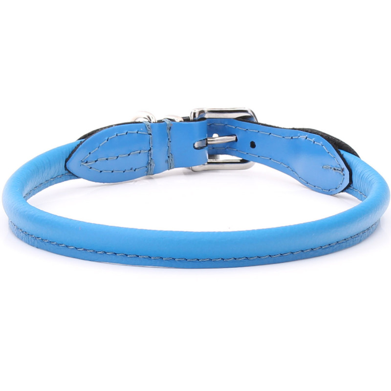 Rolled Leather Dog Collar for shaggy dogs