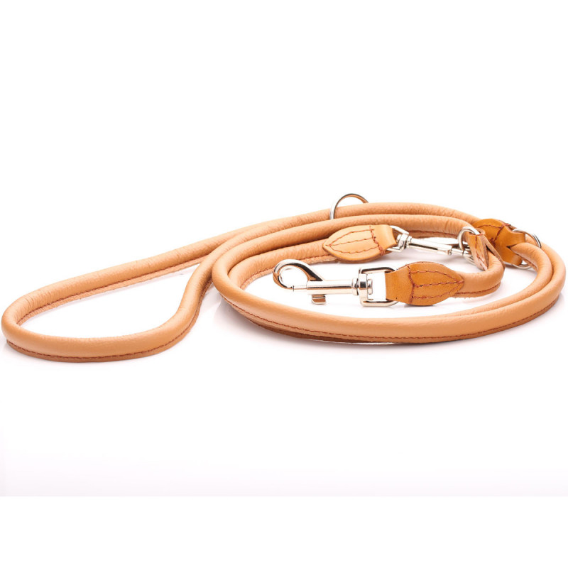 Leather dog training lead best sale