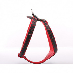 Black & Red Diamante Skinn...