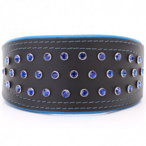 Black & Blue Hound Collar...