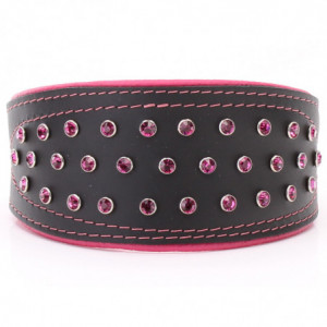 Black & Pink Hound Collar...