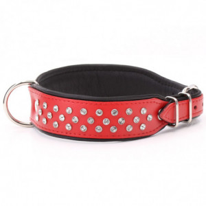 Collar Para Perro Elegancia...