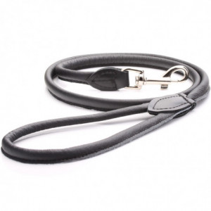 Black Rolled Leather Dog Lead