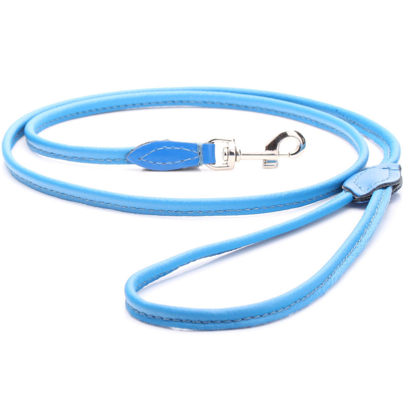 Blue Rolled Leather Dog Lead