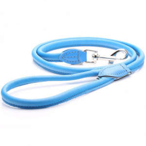 Blue Rolled Leather Dog Lead