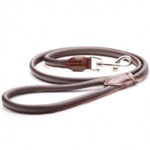 Brown Rolled Leather Dog Lead