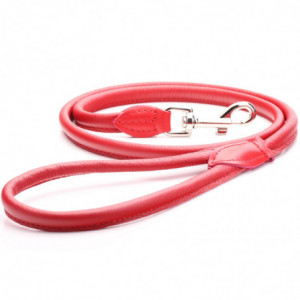 Red Rolled Leather Dog Lead