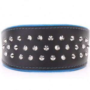 Black & Blue Hond Halsband...