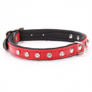 Collier Pour Chien En Cuir...