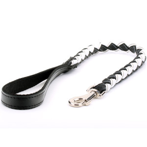 Braided White Leather Dog Lead