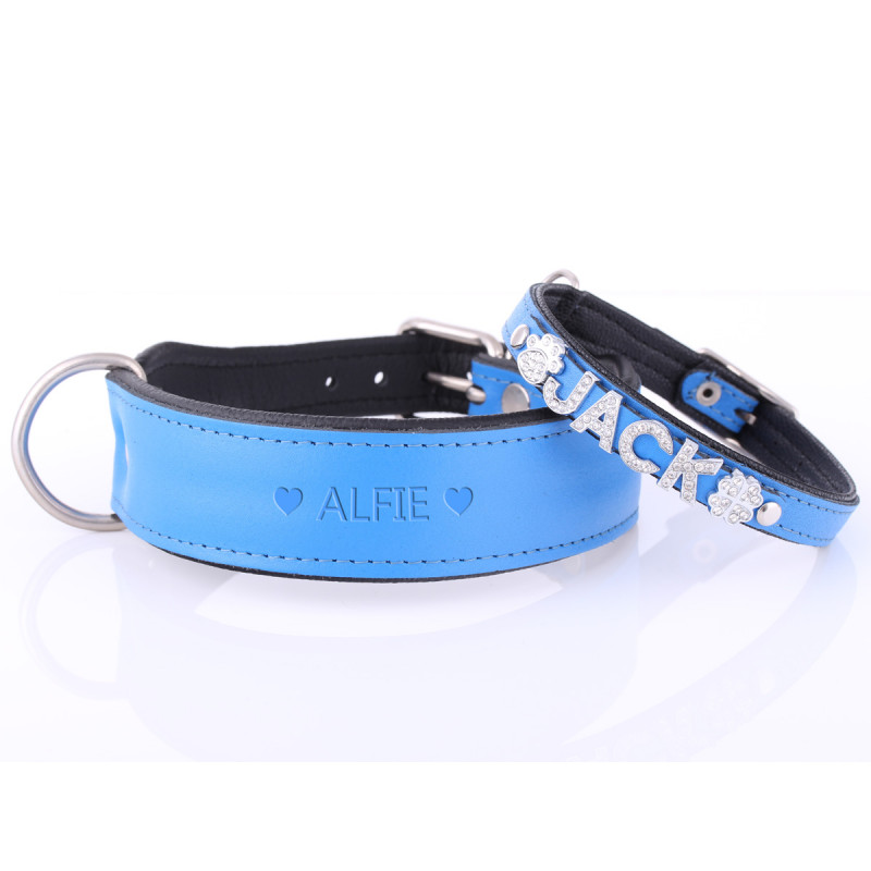 Personalised Dog Collars or Puppy Collar. Padded Leather. XS, Small or