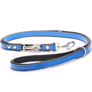 Adjustable Blue Leather Dog...