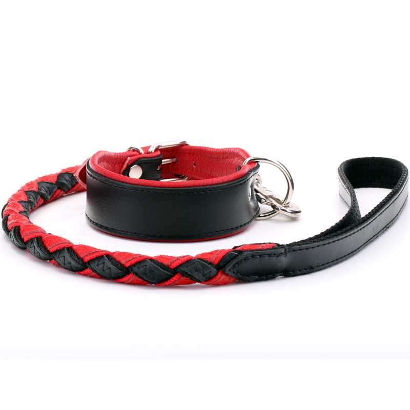 red leather dog lead