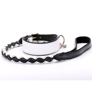 Large Collier Pour Chien En...