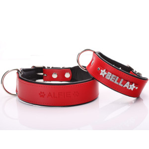 Collar Para Perro Ancho Y...