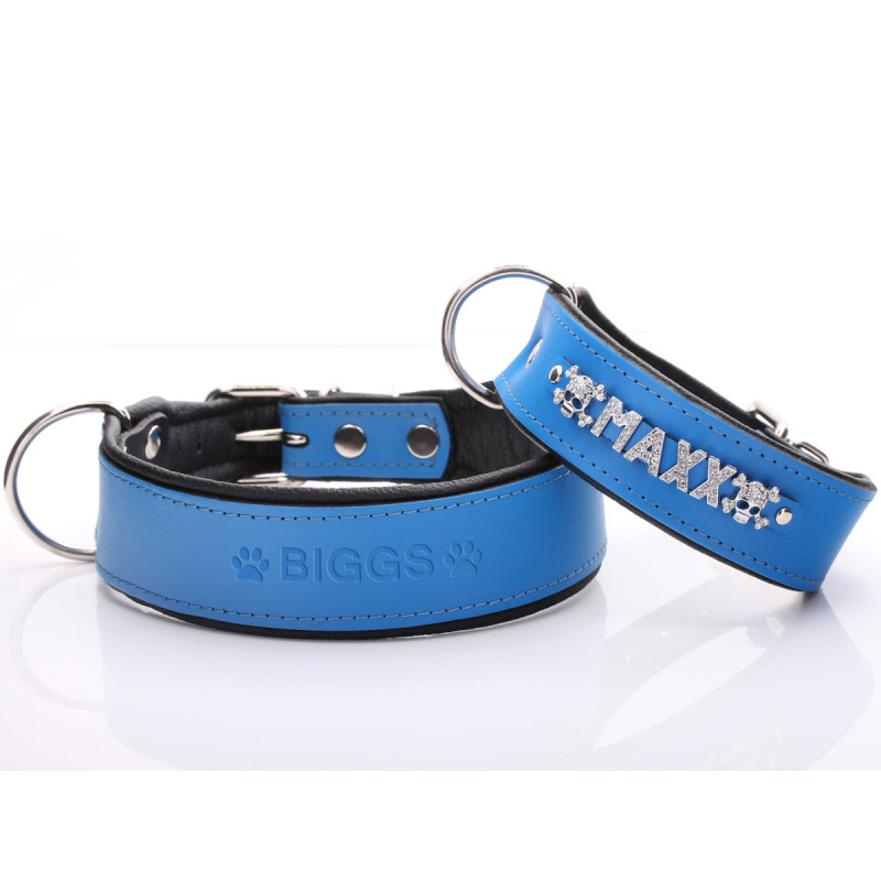 Wide padded dog sales collar