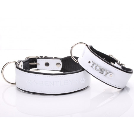 Breites Hundehalsband Aus Echtem Leder, Gepolstert - Für Windhunde, Lurcher, Whippets (verschiedene Farben & Größen)