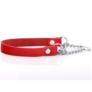 Red Leather Martingale Collar