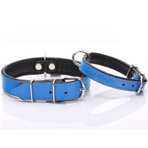 Blå Läder Hundhalsband