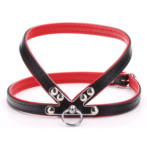 Small Black & Red Harness