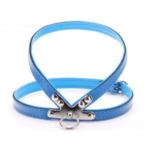 Small Blue Harness