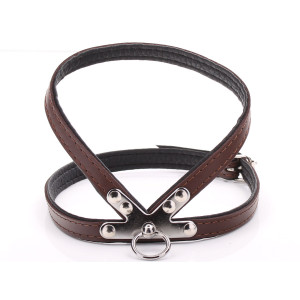 Small Brown Harness