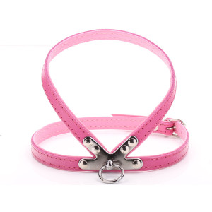 Small Pink Harness