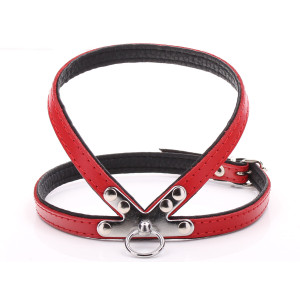 Small Red Harness