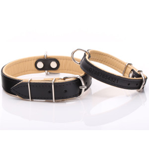 Black & Beige Skinn Hund Krage