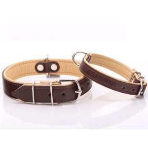 Brown & Beige Leather Dog...