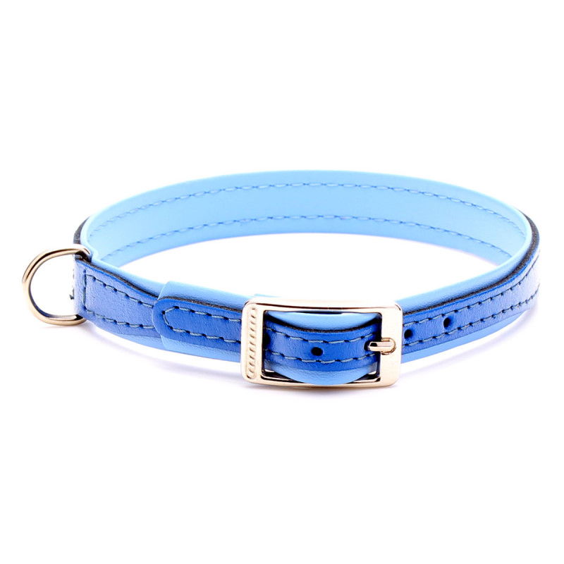 Custom Blue Leather Dog Collar with Blue Padding