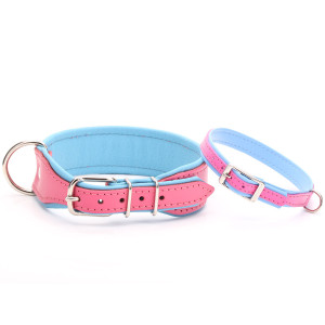 Light blue leather dog discount collar