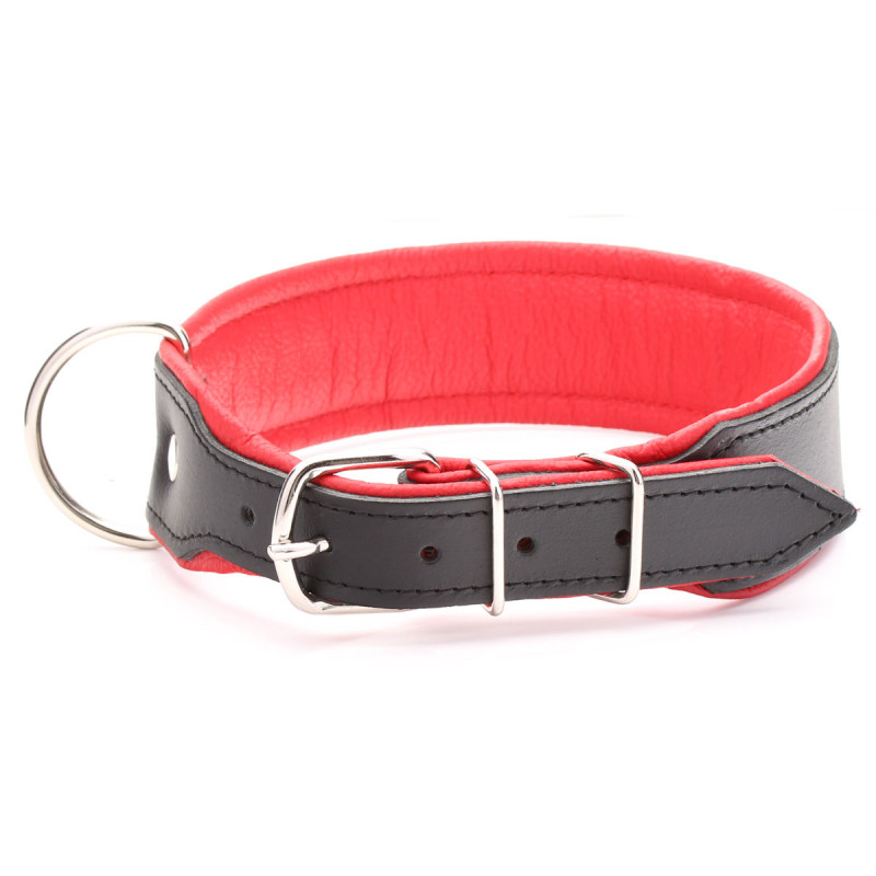 Breites, Gepolstertes Hundehalsband Aus Schwarzem Und Rotem Leder