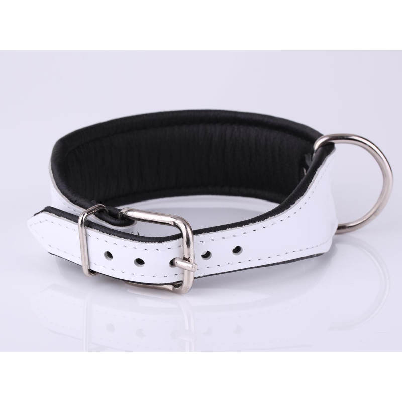 Padded White Leather Dog Collar Extra Wide Design