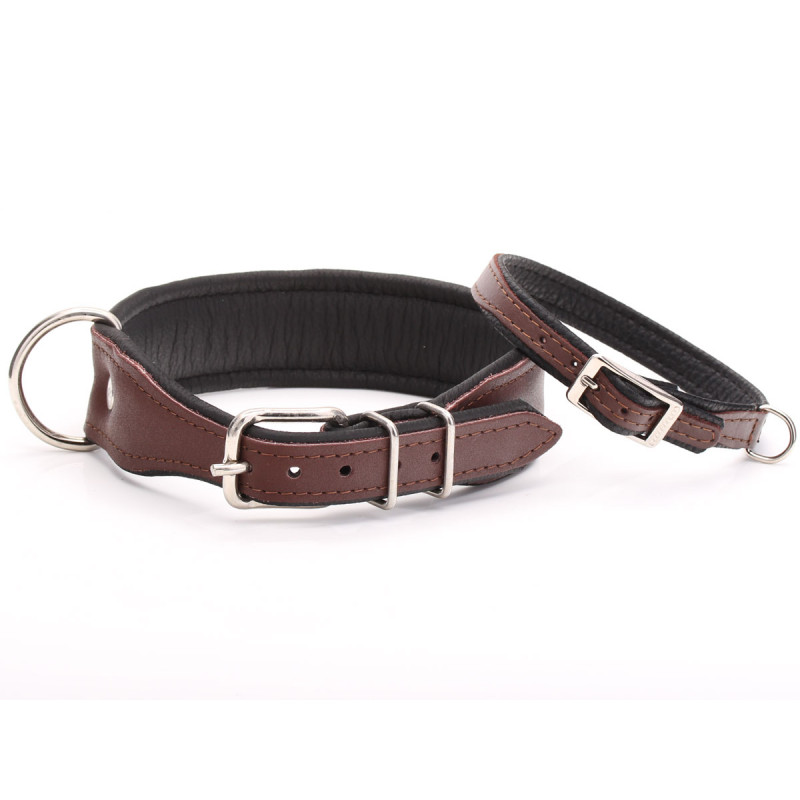 Cool Brown Leather Dog Collar with Soft Padding