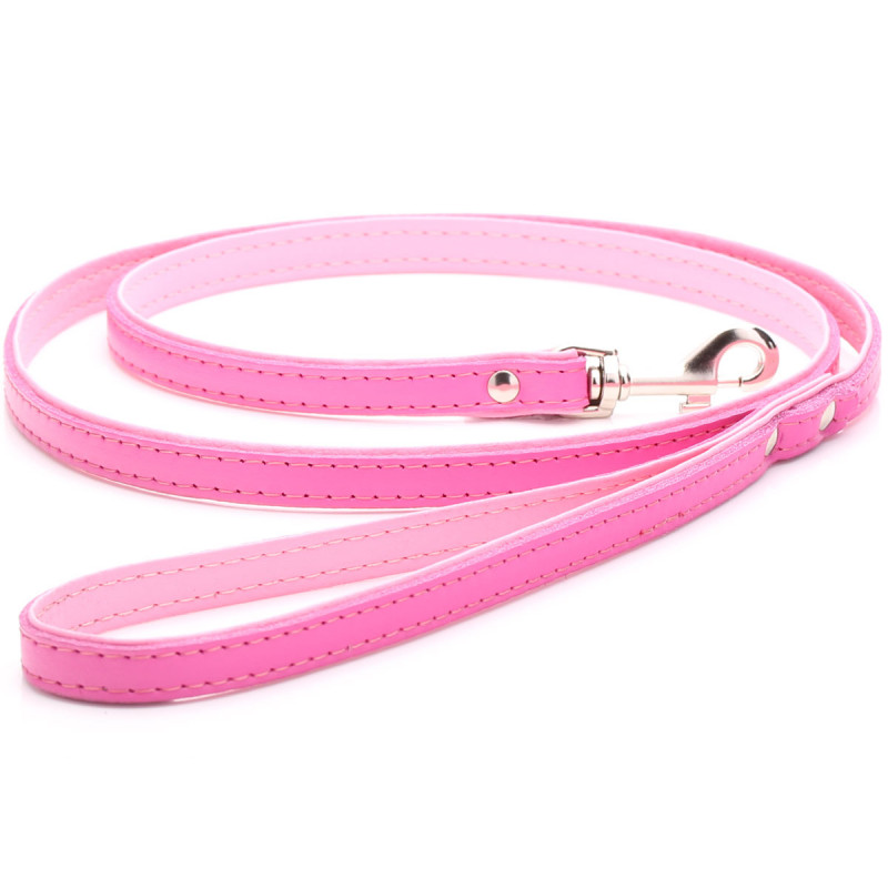 Personalised Pink Dog Collar with Matching Pink Lead