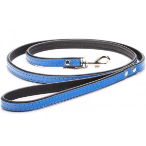 Blue Leather Dog Lead