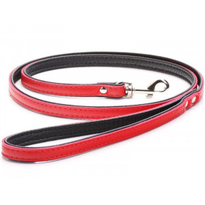 Red Leather Dog Lead