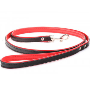 Black & Red Leather Dog Lead