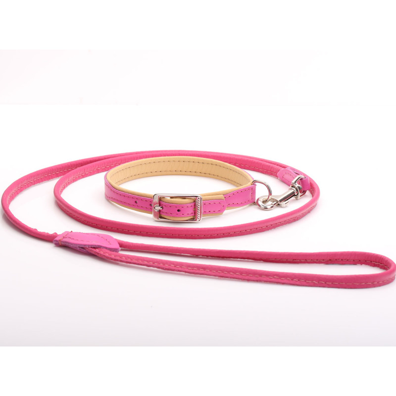Handgefertigtes Hundehalsband & Blei-Set Aus Rosa Und Beigem Leder