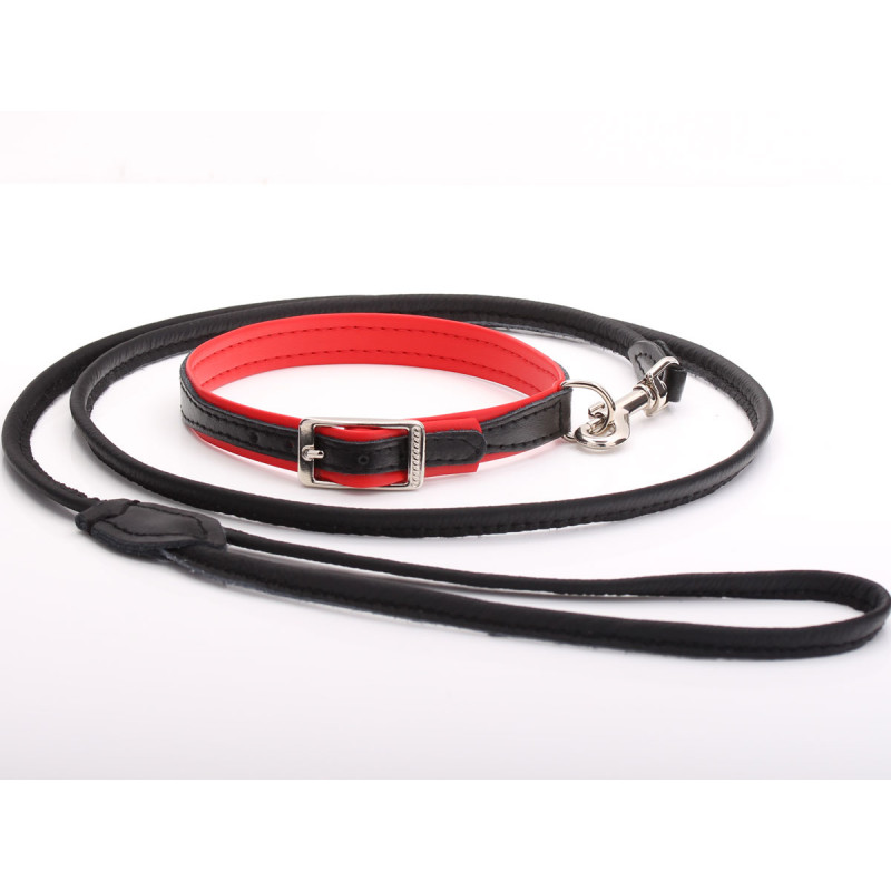 Dog Collar and Lead Set Black and Red