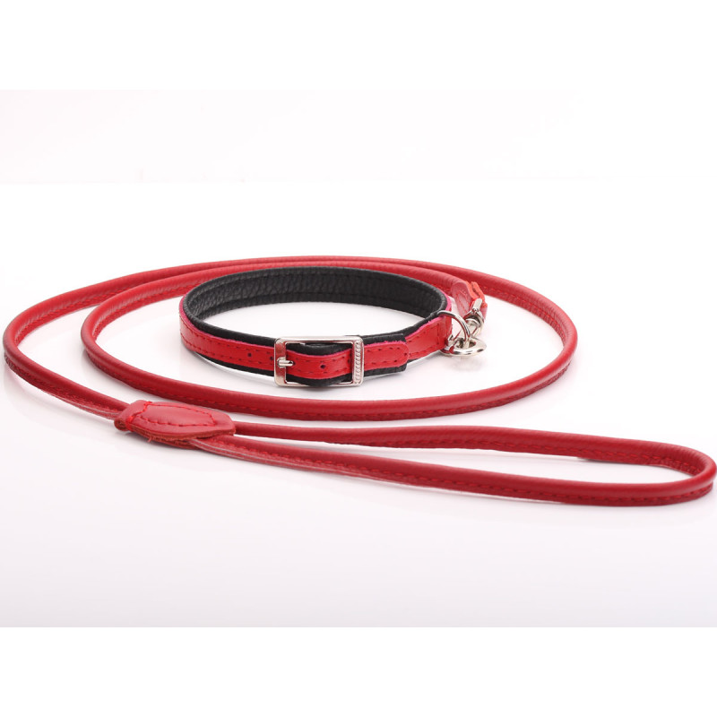 Custom Red Leather Dog Collar & Lead Set