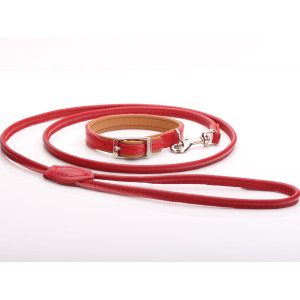 Red & Tan Luxury Dog Collar & Lead Set