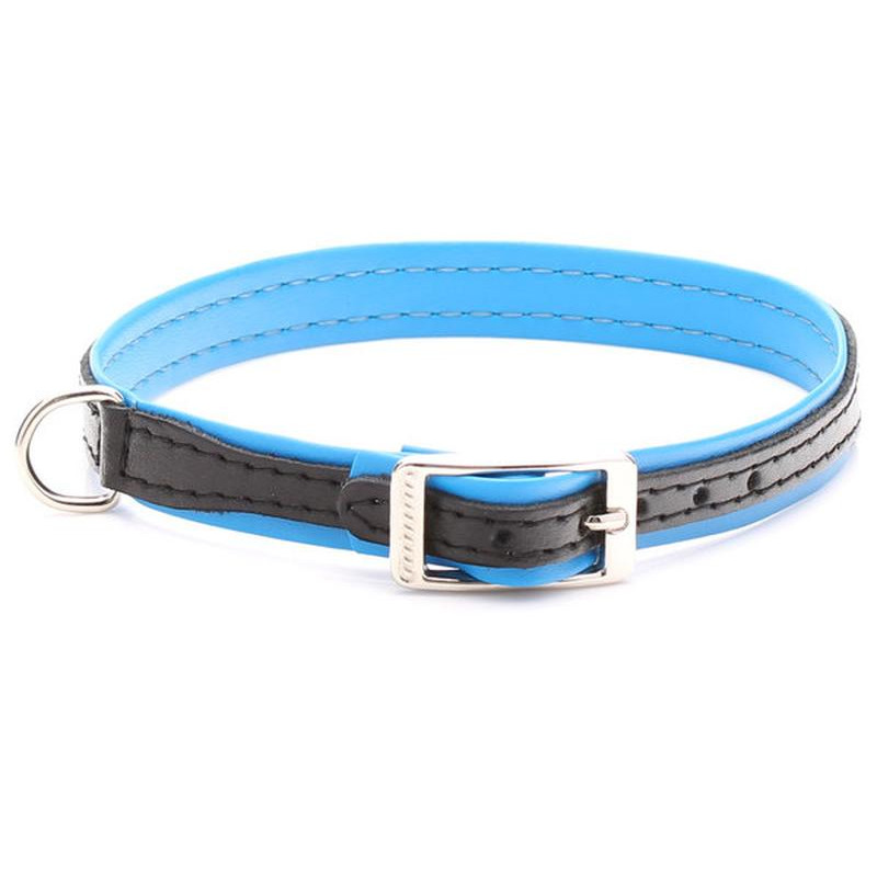 Leather Dog Collar and Lead Set