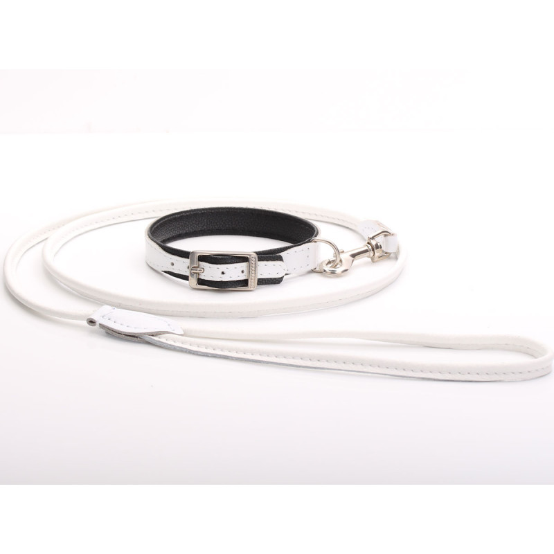 Fancy White Leather Dog Collar & Lead Set