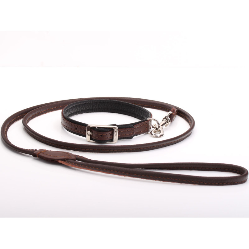 Matching Leather Puppy Collar & Lead Set